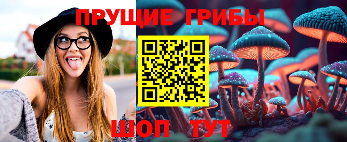 Псилоцибиновые грибы Psilocybe Славянск-на-Кубани