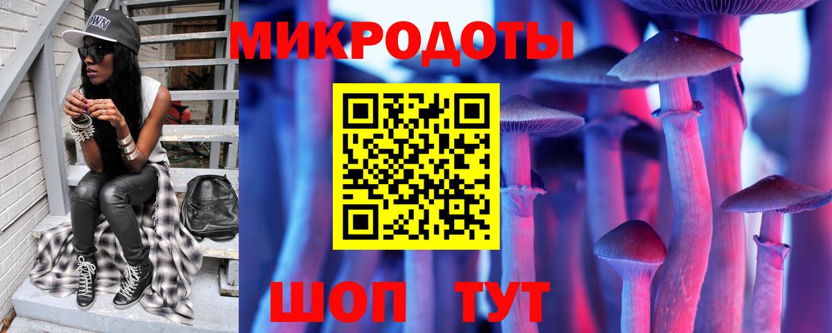 Славянск-на-Кубани  Псилоцибиновые грибы прущие грибы  Вход с VPN  Псилоцибиновые грибы Psilocybe 